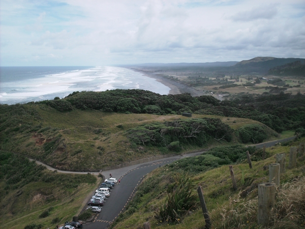 Auckland, NZ, Dec 2009. Photographer: Geoffrey Stewart Morrison