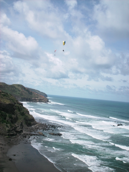 Auckland, NZ, Dec 2009. Photographer: Geoffrey Stewart Morrison