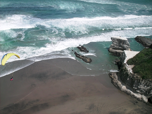 Auckland, NZ, Dec 2009. Photographer: Geoffrey Stewart Morrison