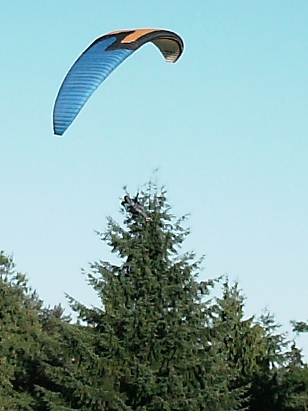 Grouse Mountain, August 2008. Photographer: Geoffrey Stewart Morrison