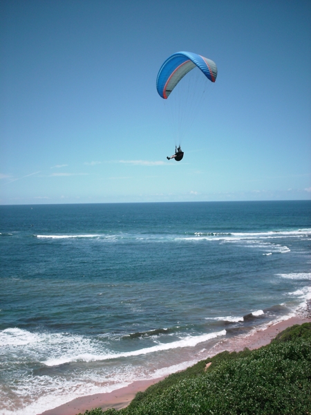 Long Reef, January 2011. Photographer: Geoffrey Stewart Morrison