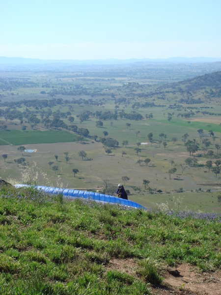 Spring Hill, December 2007. Photographer: Cuiling Zhang