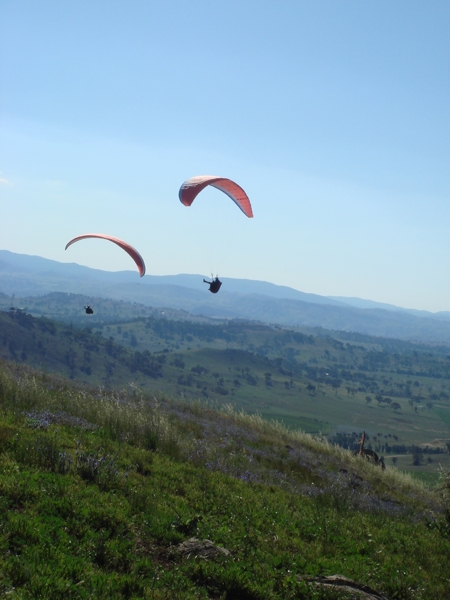 Spring Hill, December 2007. Photographer: Cuiling Zhang