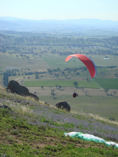 Spring Hill, December 2007. Photographer: Cuiling Zhang