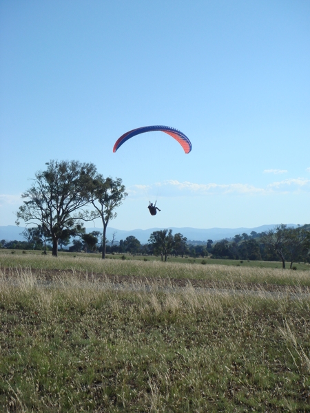 Spring Hill, December 2007. Photographer: Cuiling Zhang