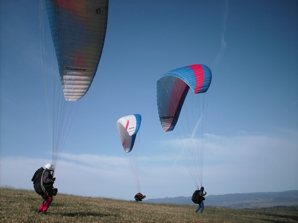 Spring Hill, October 2008. Photographer: Geoffrey Stewart Morrison