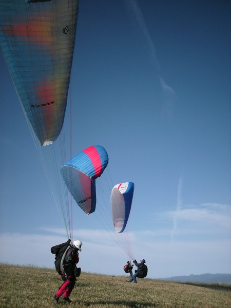 Spring Hill, October 2008. Photographer: Geoffrey Stewart Morrison