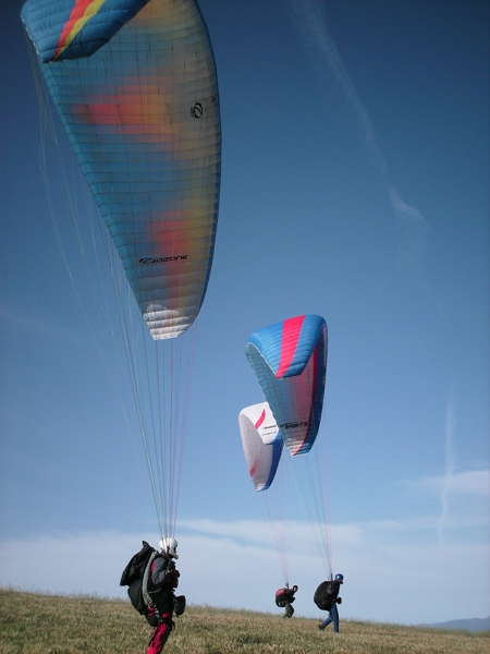 Spring Hill, October 2008. Photographer: Geoffrey Stewart Morrison