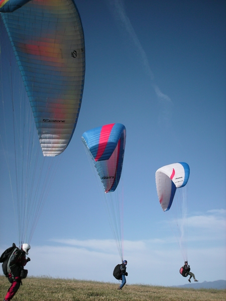 Spring Hill, October 2008. Photographer: Geoffrey Stewart Morrison