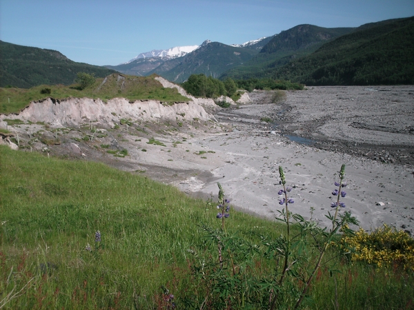 Toutle, May 2009. Photographer: Geoffrey Stewart Morrison