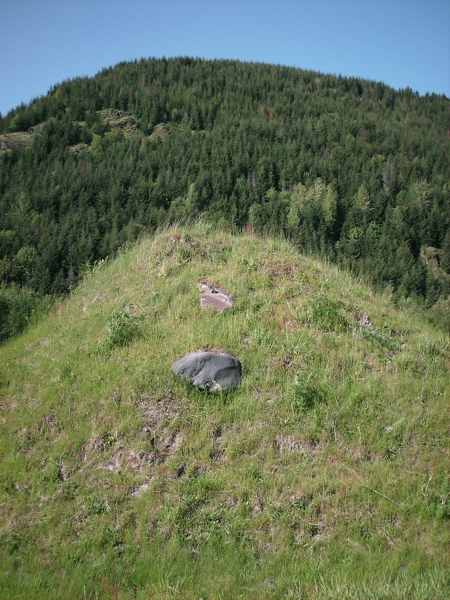 Toutle, May 2009. Photographer: Geoffrey Stewart Morrison